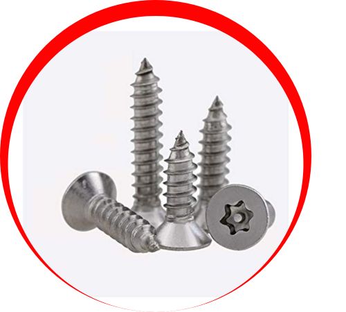Incoloy 825 Screws in UAE