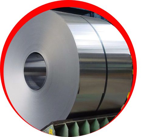 Haynes R30605 Plates In UAE